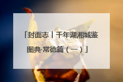 封面志丨千年湖湘城鉴图典·常德篇（一）
