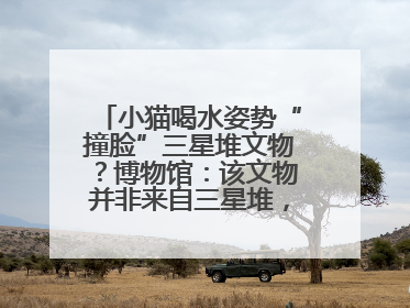 小猫喝水姿势“撞脸”三星堆文物？博物馆：该文物并非来自三星堆，有可能是它