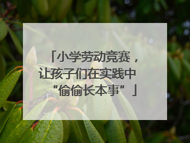 小学劳动竞赛，让孩子们在实践中“偷偷长本事”