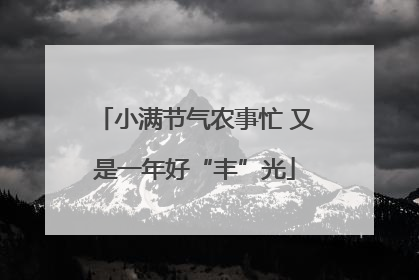 小满节气农事忙 又是一年好“丰”光