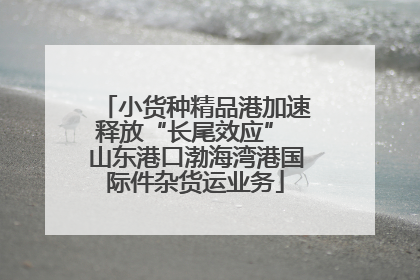 小货种精品港加速释放“长尾效应” 山东港口渤海湾港国际件杂货运业务