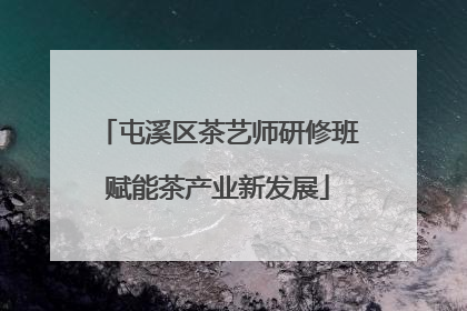 屯溪区茶艺师研修班赋能茶产业新发展