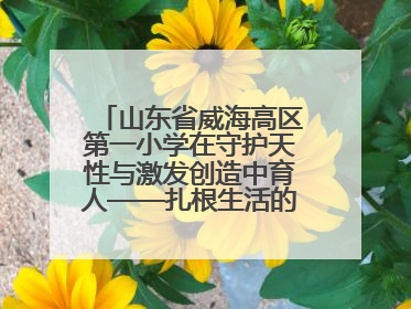 山东省威海高区第一小学在守护天性与激发创造中育人——扎根生活的科学教育更有效