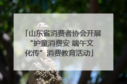 山东省消费者协会开展 “护童消费安 端午文化传”消费教育活动