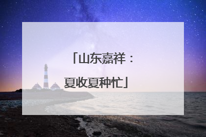 山东嘉祥：夏收夏种忙