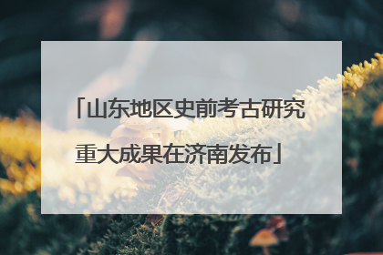 山东地区史前考古研究重大成果在济南发布