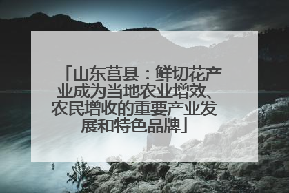 山东莒县：鲜切花产业成为当地农业增效、农民增收的重要产业发展和特色品牌