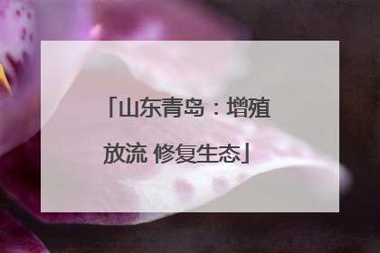 山东青岛：增殖放流 修复生态
