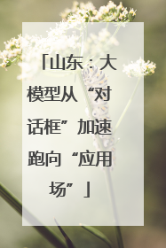 山东：大模型从“对话框”加速跑向“应用场”