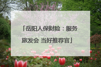 岳阳人保财险：服务旅发会 当好推荐官
