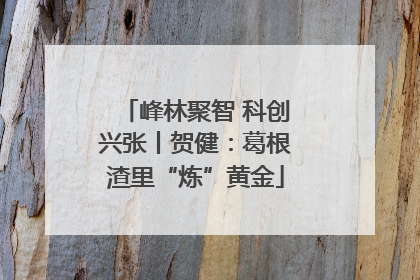 峰林聚智 科创兴张丨贺健：葛根渣里“炼”黄金