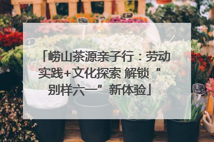 崂山茶源亲子行：劳动实践+文化探索 解锁“别样六一”新体验