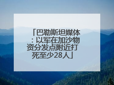 巴勒斯坦媒体：以军在加沙物资分发点附近打死至少28人