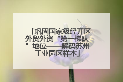 巩固国家级经开区外贸外资“第一梯队”地位——解码苏州工业园区样本