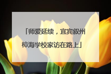 师爱延续，宜宾叙州樟海学校家访在路上