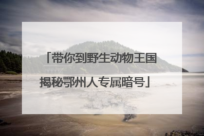 带你到野生动物王国揭秘鄂州人专属暗号