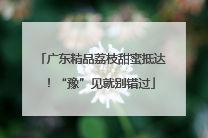 广东精品荔枝甜蜜抵达！“豫”见就别错过