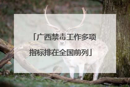 广西禁毒工作多项指标排在全国前列