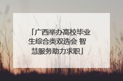 广西举办高校毕业生综合类双选会 智慧服务助力求职