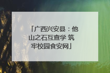 广西兴安县：他山之石互查学 筑牢校园食安网