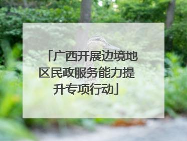 广西开展边境地区民政服务能力提升专项行动
