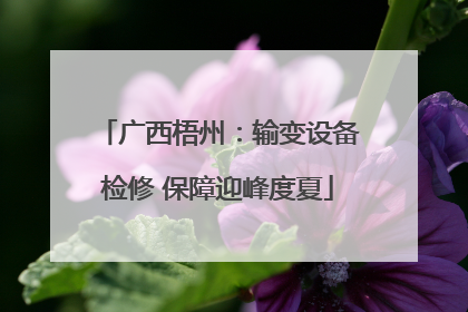 广西梧州：输变设备检修 保障迎峰度夏