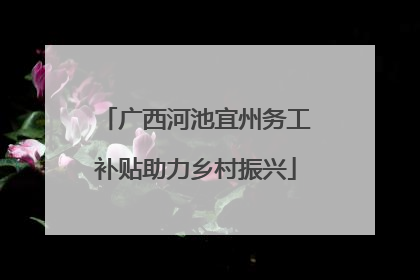 广西河池宜州务工补贴助力乡村振兴