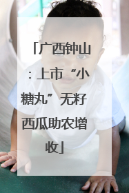 广西钟山：上市“小糖丸”无籽西瓜助农增收