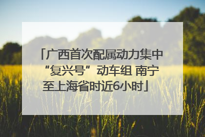 广西首次配属动力集中“复兴号”动车组 南宁至上海省时近6小时