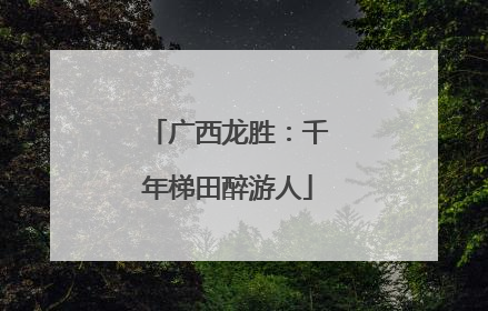 广西龙胜：千年梯田醉游人