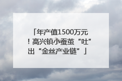 年产值1500万元！高兴镇小蚕茧“吐”出“金丝产业链”