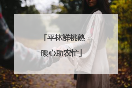 平林鲜桃熟 暖心助农忙