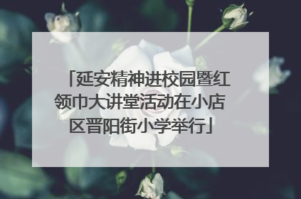 延安精神进校园暨红领巾大讲堂活动在小店区晋阳街小学举行