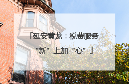 延安黄龙：税费服务“新”上加“心”