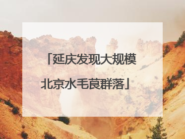 延庆发现大规模北京水毛茛群落