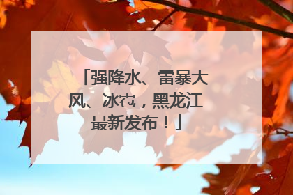 强降水、雷暴大风、冰雹，黑龙江最新发布！