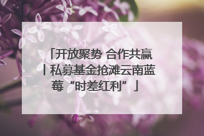 开放聚势 合作共赢丨私募基金抢滩云南蓝莓“时差红利”