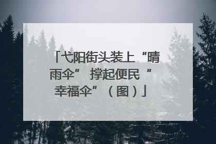 弋阳街头装上“晴雨伞” 撑起便民“幸福伞”（图）