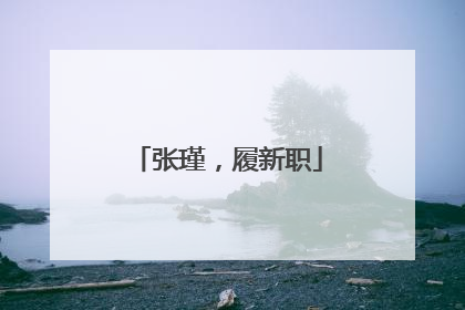 张瑾，履新职
