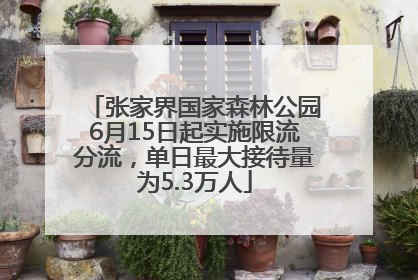 张家界国家森林公园6月15日起实施限流分流，单日最大接待量为5.3万人
