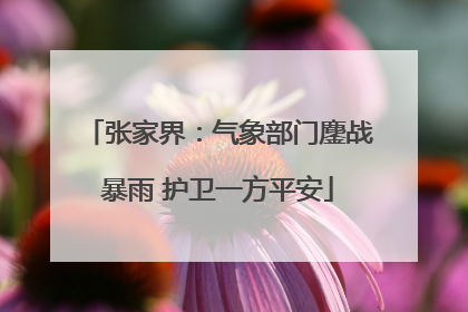 张家界：气象部门鏖战暴雨 护卫一方平安