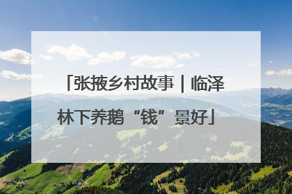 张掖乡村故事｜临泽林下养鹅“钱”景好