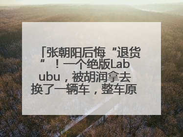 张朝阳后悔“退货”！一个绝版Labubu，被胡润拿去换了一辆车，整车原价值上百万元