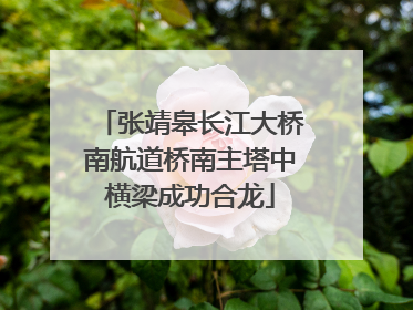张靖皋长江大桥南航道桥南主塔中横梁成功合龙