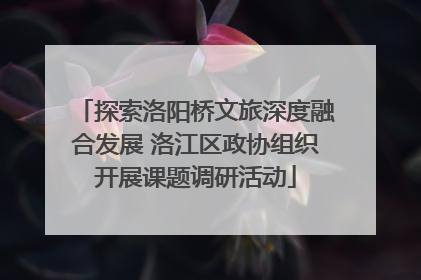 探索洛阳桥文旅深度融合发展 洛江区政协组织开展课题调研活动