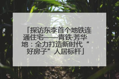 探访东李首个地铁连通住宅——青铁·芳华地：全力打造新时代“好房子”人居标杆