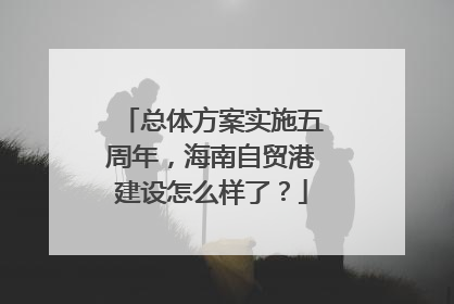 总体方案实施五周年，海南自贸港建设怎么样了？