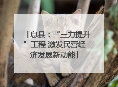 息县：“三力提升”工程 激发民营经济发展新动能