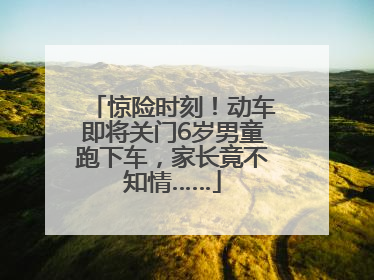 惊险时刻！动车即将关门6岁男童跑下车，家长竟不知情……
