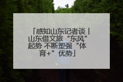 感知山东记者谈丨山东借文旅“东风”起势 不断塑强“体育+”优势